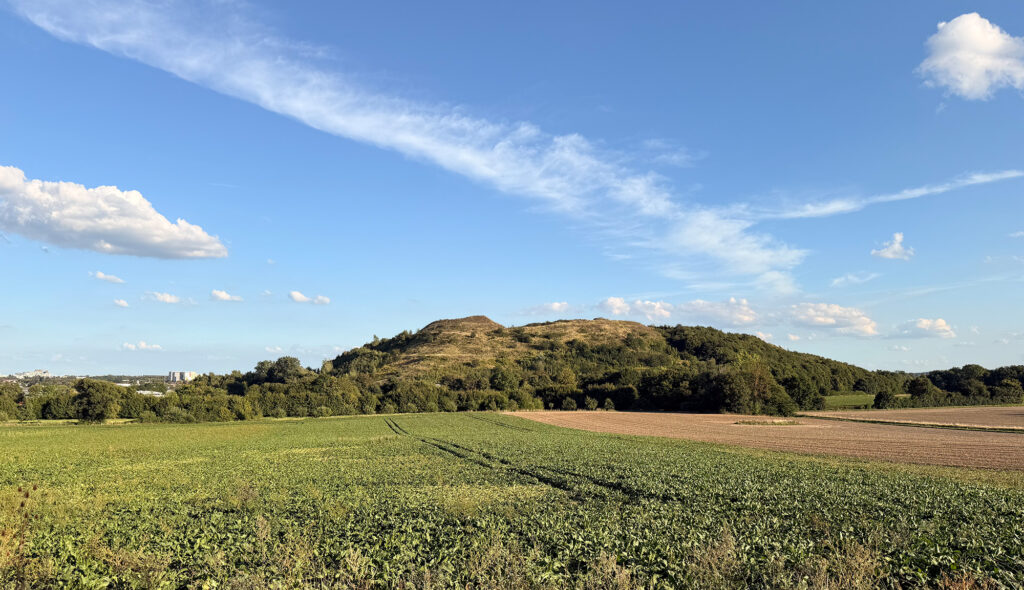 Waldberg Empelde (ehemalige Kalihalde) vom Benther Berg aus gesehen

